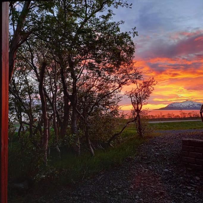 SvalbarthseyriÞorsmoerk Farm 12 Min From Akureyriアパートメント エクステリア 写真