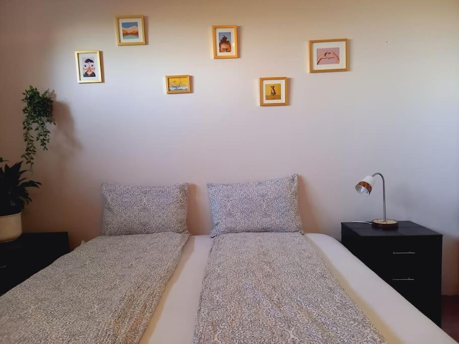 SvalbarthseyriÞorsmoerk Farm 12 Min From Akureyriアパートメント エクステリア 写真
